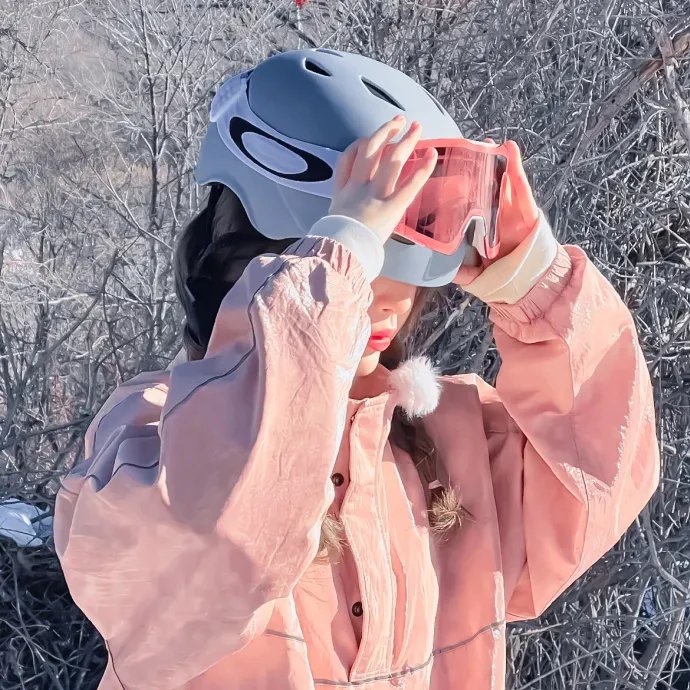 我愿南风知晚意