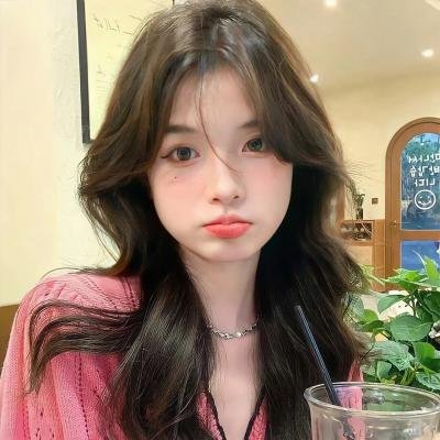 我的野蛮女友 (美国)